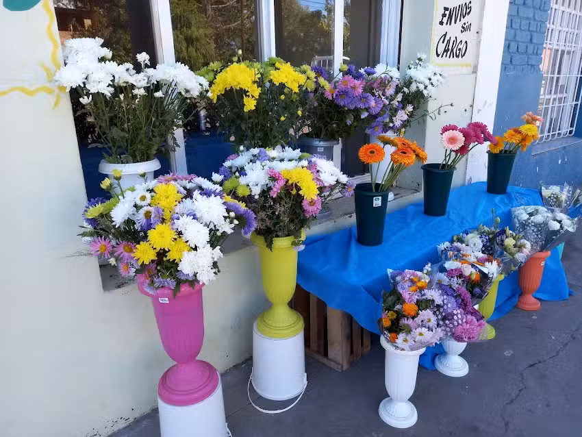 Florer&iacute;a Facundo