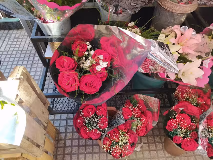 Florer&iacute;a Falc&oacute;n