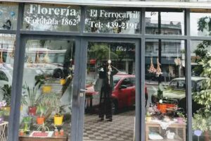 Floreria Ferrocarril