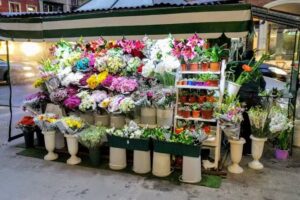 Floreria FLORESDECA&Ntilde;ITAS