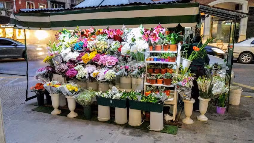 Floreria FLORESDECA&Ntilde;ITAS