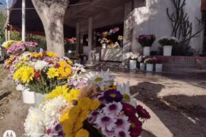 Florer&iacute;a Gim&eacute;nez