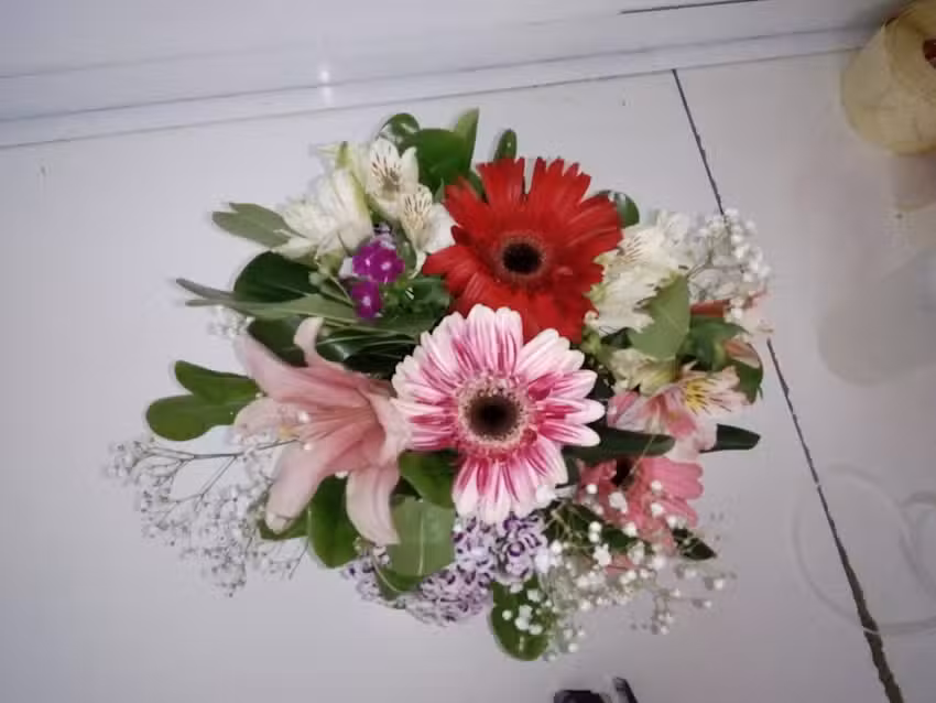 Florer&iacute;a Gladys