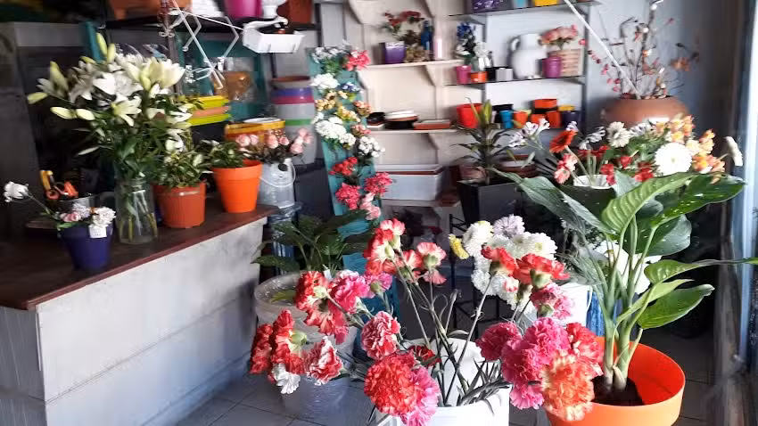 Florer&iacute;a Graciela