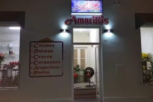 Floreria il Giardino II