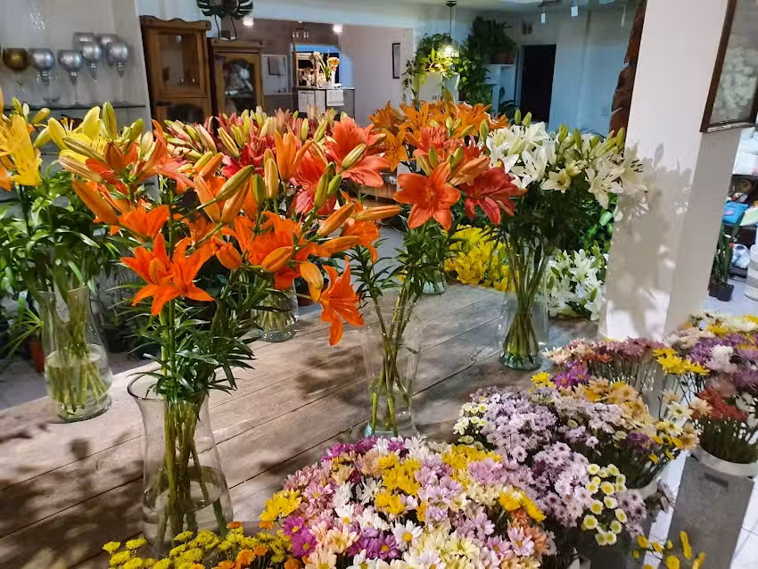 FLORER&Iacute;A INAUN