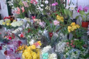 Florer&iacute;a Japonesa