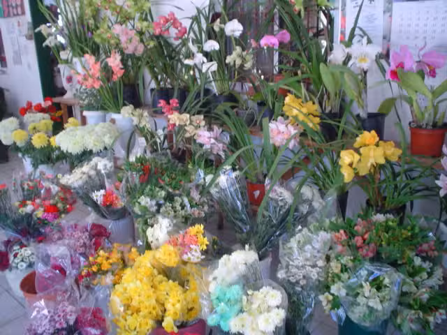 Florer&iacute;a Japonesa