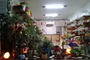 Floreria,Jardin y Plantas