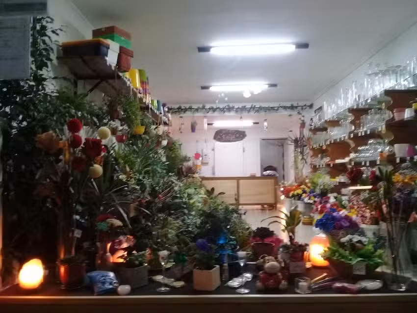 Floreria,Jardin y Plantas