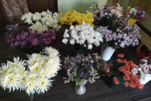 Florer&iacute;a Jazmin