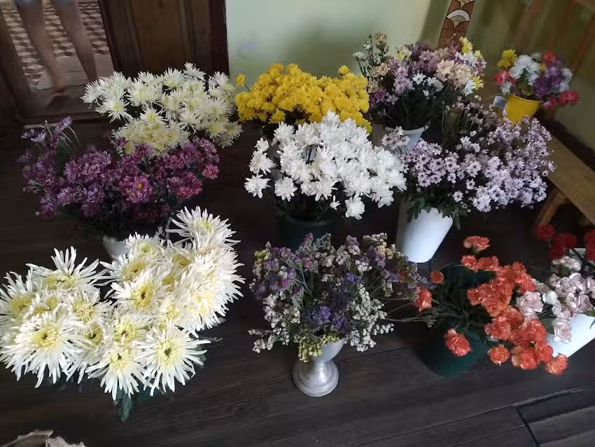 Florer&iacute;a Jazmin