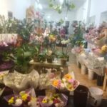 Florer&iacute;a karina