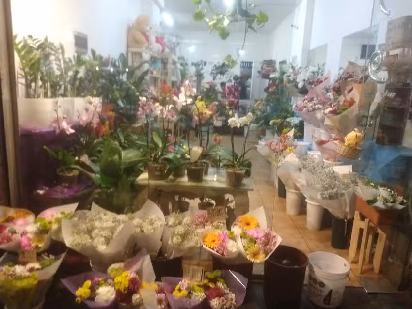 Florer&iacute;a karina