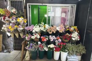 Florer&iacute;a La Novia