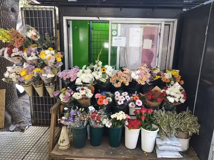 Florer&iacute;a La Novia