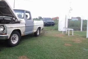 Florería La Orquidea