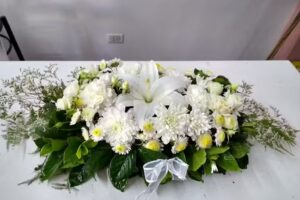 FLORERIA LA ORQUIDEA