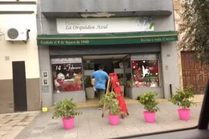 Florer&iacute;a la Orqu&iacute;dea Azul