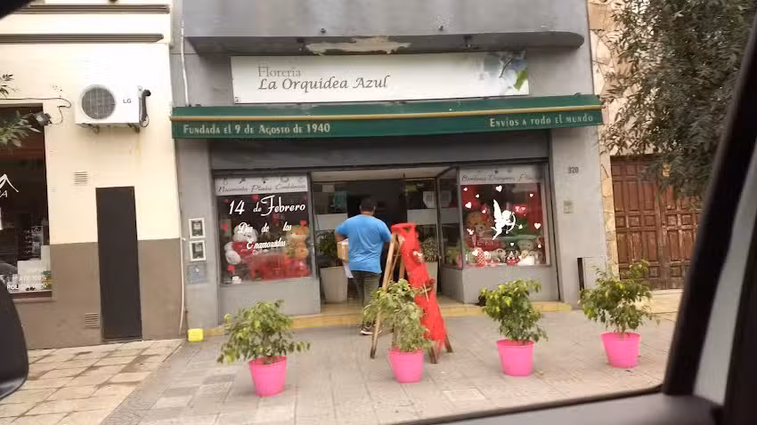 Florer&iacute;a la Orqu&iacute;dea Azul