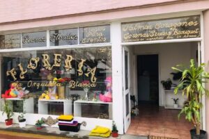 florería la orquídea blanca necochea-Tandil