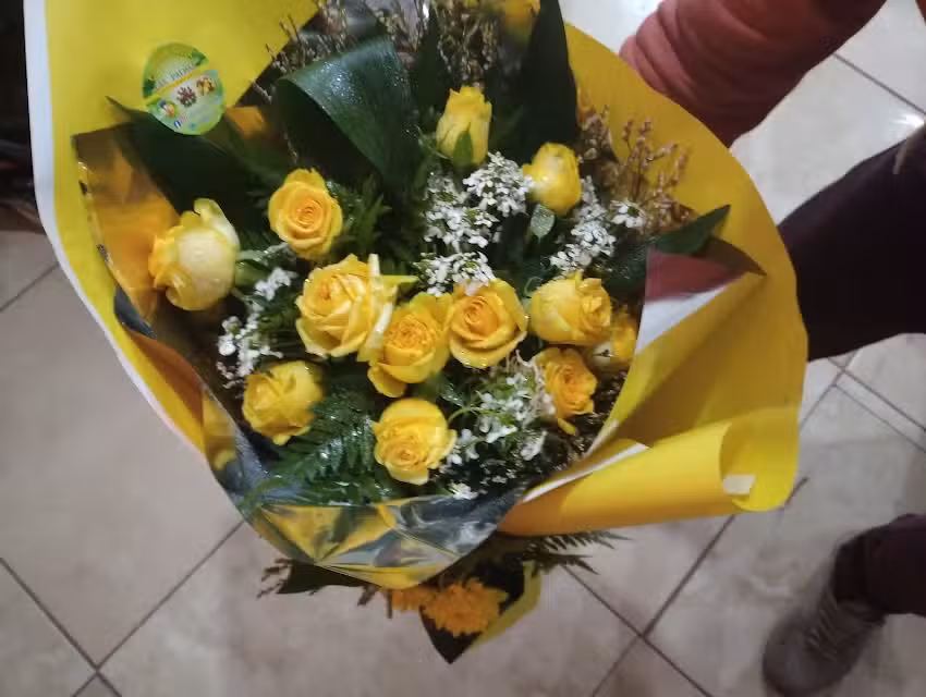 Florer&iacute;a las Palmas