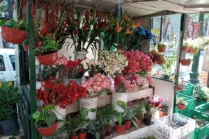 Florer&iacute;a Las Princesas