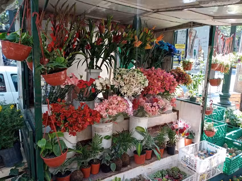 Florer&iacute;a Las Princesas