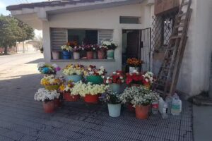 Floreria Leonor Raquel