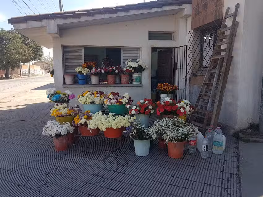 Floreria Leonor Raquel