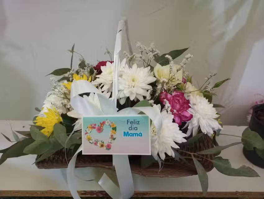 Florer&iacute;a Lilia