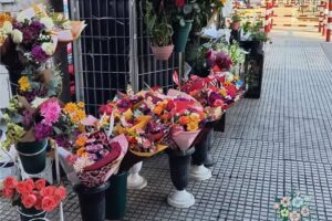 Florería Liz – Villa del Parque