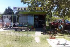 Floreria LOS AROMOS