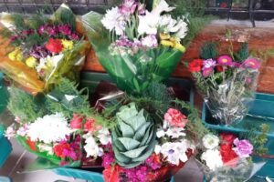 Florer&iacute;a Los Mirasoles