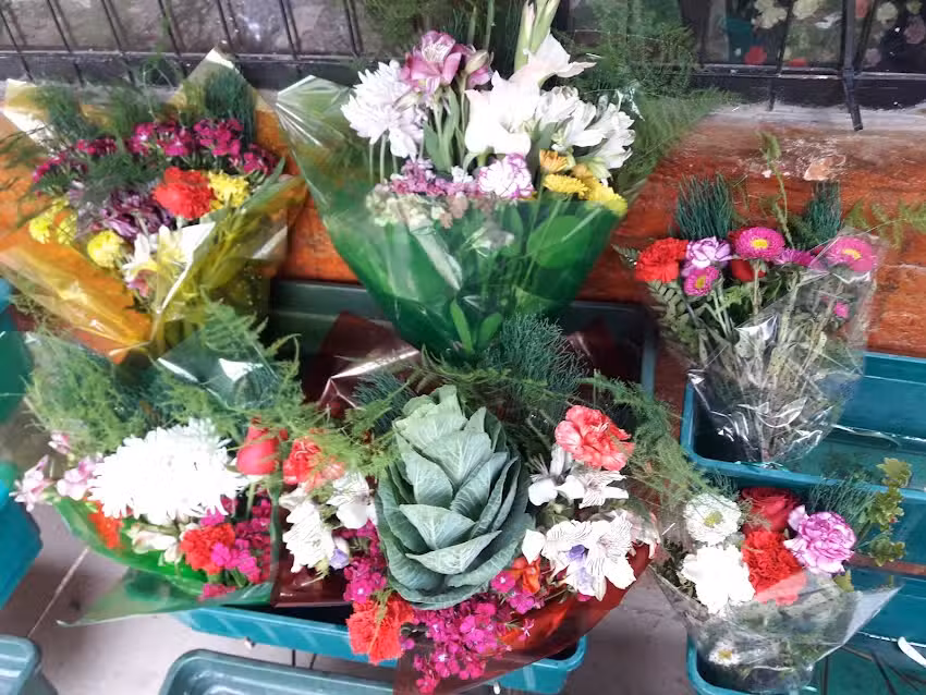 Florer&iacute;a Los Mirasoles