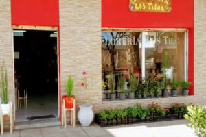 Floreria LOS TILOS