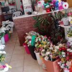 Florer&iacute;a Luz Mar&iacute;a