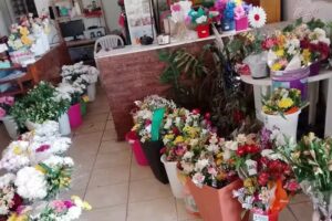 Florer&iacute;a Luz Mar&iacute;a