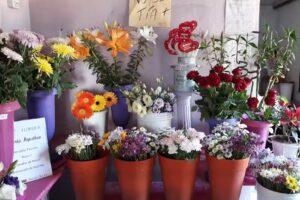 Floreria Ma. Agustina