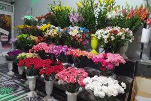 Florer&iacute;a Miriam