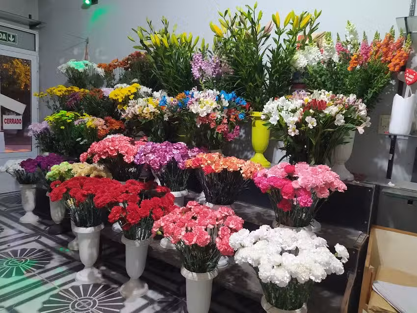 Florer&iacute;a Miriam