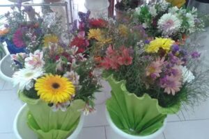 Florer&iacute;a Montek Zuma