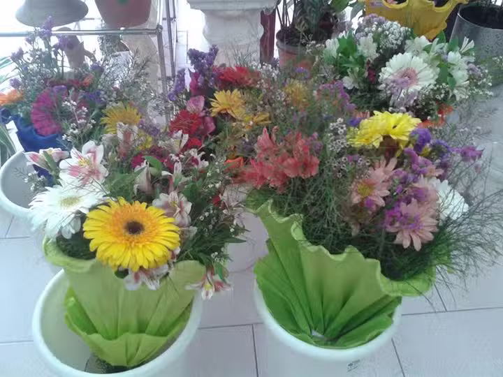 Florer&iacute;a Montek Zuma