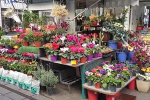 Florer&iacute;a Mundo Floral