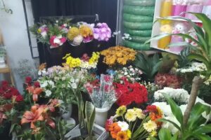 FLORERIA NECOCHEA LA ORQU&Iacute;DEA BLANCA