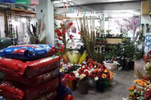 Floreria Osvel – Vitali