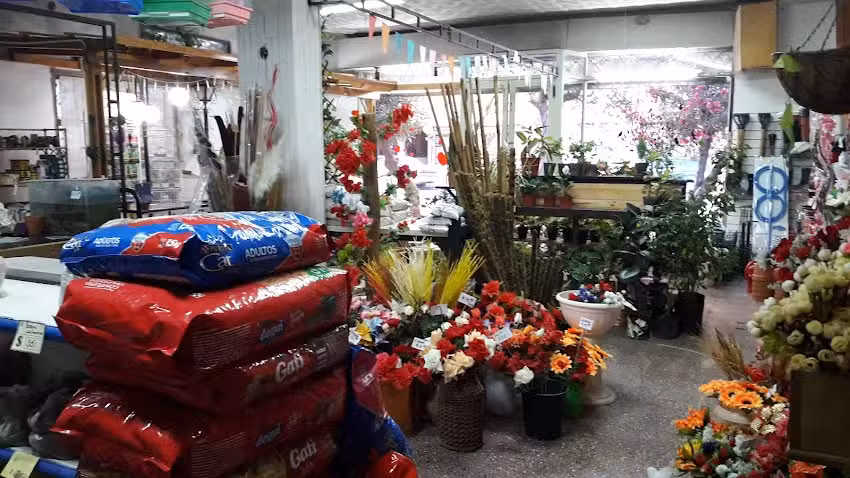 Floreria Osvel &ndash; Vitali