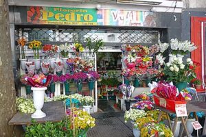 Florer&iacute;a Pedro