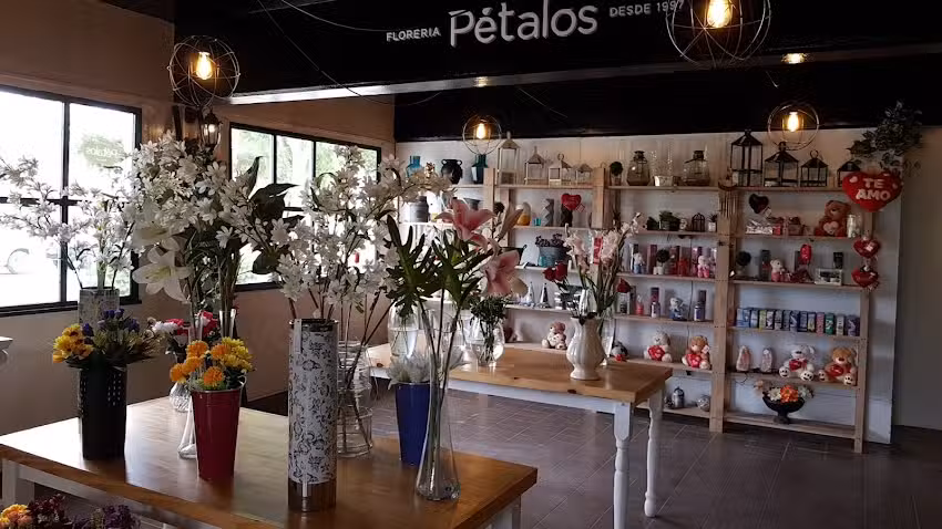 Floreria Petalos