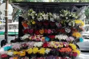 Floreria Plaza San Martín